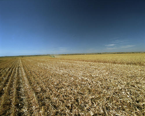 Campo de feno - Fonte: NREL